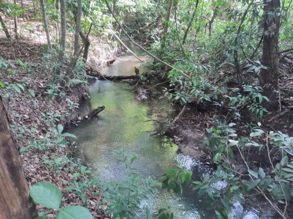 Imagem Chácara à Venda, 200 m² em Saraiva - Uberlândia Imagem Chácara à Venda, 200 m² em Saraiva - Uberlândia