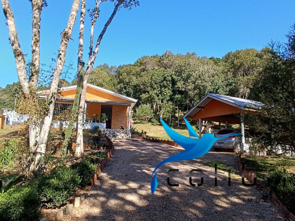 Imagem Chácara com 2 Quartos à Venda, 6.000 m² em Palmital - Agudos Do Sul Imagem Chácara com 2 Quartos à Venda, 6.000 m² em Palmital - Agudos Do Sul