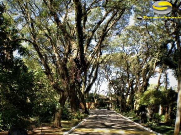Imagem Terreno à Venda, 609 m² em Bosque Do Vianna - Cotia Imagem Terreno à Venda, 609 m² em Bosque Do Vianna - Cotia