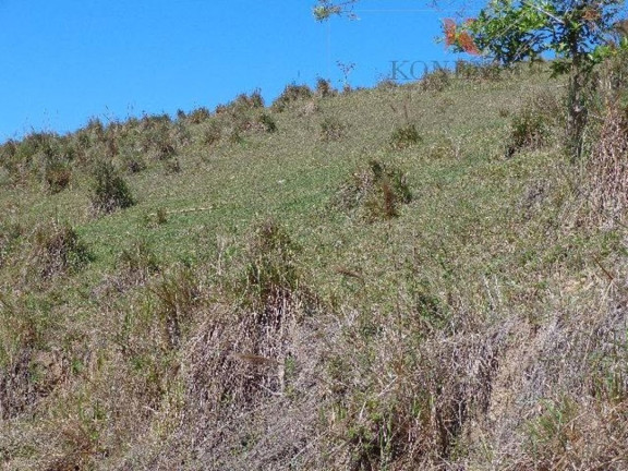 Imagem Fazenda à Venda, 100 m² em Jd Costão Do Paraíba - Santa Branca