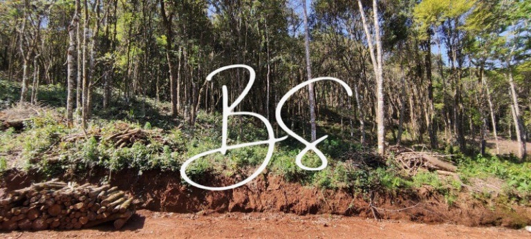 Imagem Terreno à Venda, 2.141 m² em Estrada Linha ávila - Gramado Imagem Terreno à Venda, 2.141 m² em Estrada Linha ávila - Gramado
