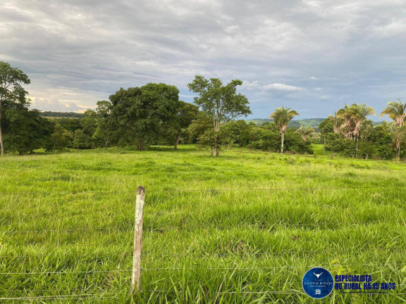 Imagem Chácara à Venda, 12 m² em Zona Rural - Campestre De Goiás Imagem Chácara à Venda, 12 m² em Zona Rural - Campestre De Goiás