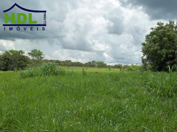 Imagem Chácara com 10 Quartos à Venda, 7 m² em Zona Rural - Hidrolândia Imagem Chácara com 10 Quartos à Venda, 7 m² em Zona Rural - Hidrolândia