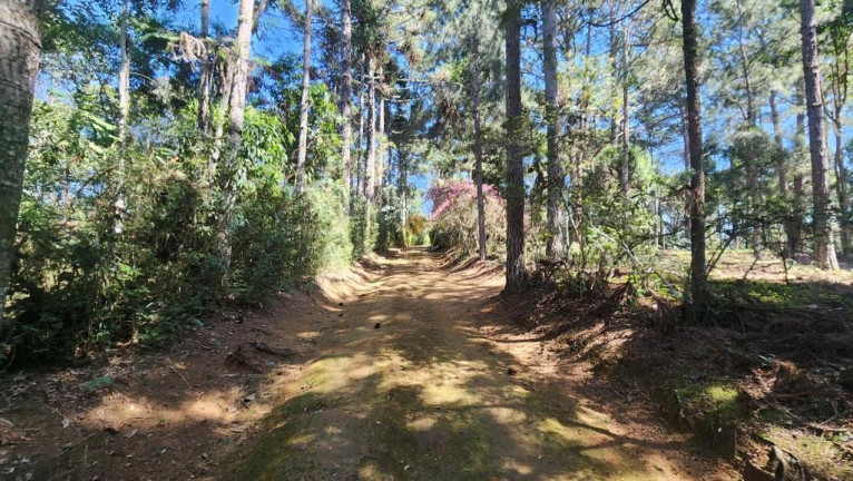 Imagem Casa com 4 Quartos à Venda, 180 m² em Jardim Salaco - Teresópolis Imagem Casa com 4 Quartos à Venda, 180 m² em Jardim Salaco - Teresópolis