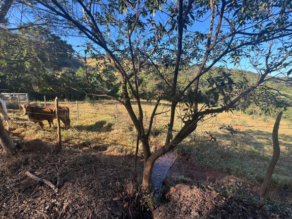 Imagem Chácara à Venda, 4 m² em Vieiras - Itatiaiuçu Imagem Chácara à Venda, 4 m² em Vieiras - Itatiaiuçu