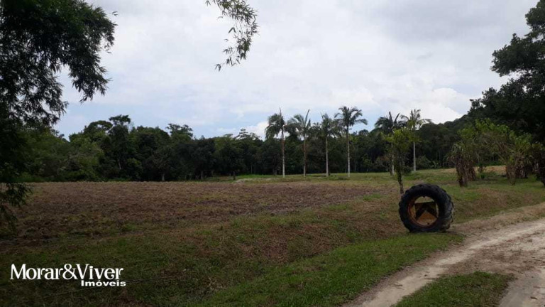 Imagem Chácara com 3 Quartos à Venda, 84.750 m² em Alexandra - Paranaguá Imagem Chácara com 3 Quartos à Venda, 84.750 m² em Alexandra - Paranaguá