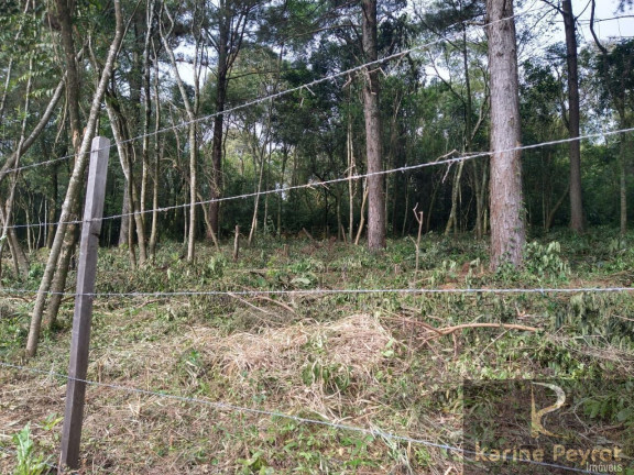 Imagem Terreno à Venda, 300 m² em Campestre - São Leopoldo