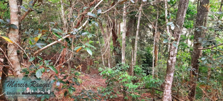 Imagem Imóvel à Venda, 8.650 m² em Caxeta - Campos Dos Goytacazes Imagem Imóvel à Venda, 8.650 m² em Caxeta - Campos Dos Goytacazes