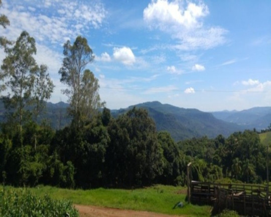 Imagem Imóvel com 3 Quartos à Venda, 238 m² em Santa Inês - Nova Petrópolis Imagem Imóvel com 3 Quartos à Venda, 238 m² em Santa Inês - Nova Petrópolis