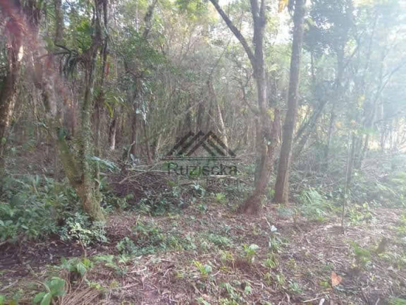 Imagem Chácara à Venda, 1.250 m² em Jardim Aguapeú - Itanhaém Imagem Chácara à Venda, 1.250 m² em Jardim Aguapeú - Itanhaém