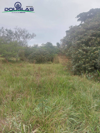 Imagem Imóvel Comercial à Venda, 20.000 m² em Viamão Imagem Imóvel Comercial à Venda, 20.000 m² em Viamão