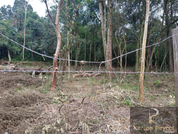 Imagem Terreno à Venda, 300 m² em Campestre - São Leopoldo
