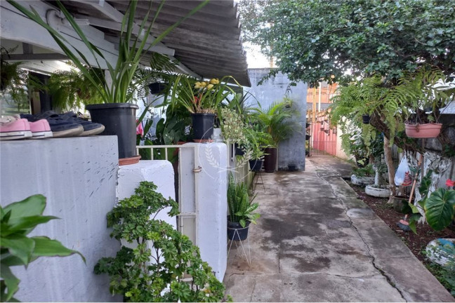 Imagem Casa com 8 Quartos à Venda, 408 m² em Vila Sônia - São Paulo Imagem Casa com 8 Quartos à Venda, 408 m² em Vila Sônia - São Paulo