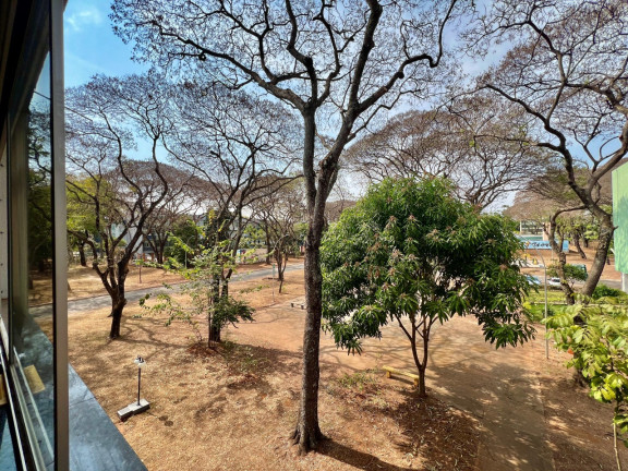 Imagem Imóvel com 2 Quartos à Venda, 68 m² em Asa Norte - Brasília Imagem Imóvel com 2 Quartos à Venda, 68 m² em Asa Norte - Brasília