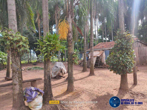 Imagem Fazenda à Venda, 72 m² em Zona Rural - Doverlândia Imagem Fazenda à Venda, 72 m² em Zona Rural - Doverlândia