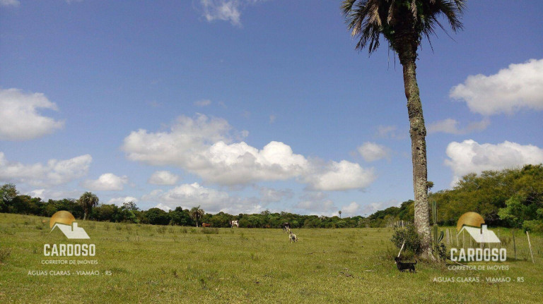 Imagem Fazenda à Venda, 30.000 m² em águas Claras - Viamão Imagem Fazenda à Venda, 30.000 m² em águas Claras - Viamão