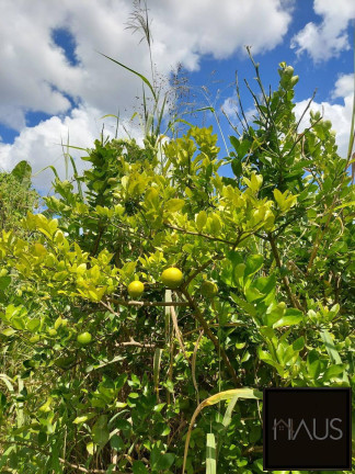 Imagem Fazenda à Venda, 29 m² em Centro - Sete Lagoas Imagem Fazenda à Venda, 29 m² em Centro - Sete Lagoas