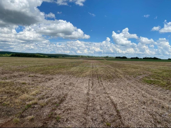 Imagem Imóvel com 5 Quartos à Venda, 5.808.000 m² em Centro - Avaré Imagem Imóvel com 5 Quartos à Venda, 5.808.000 m² em Centro - Avaré