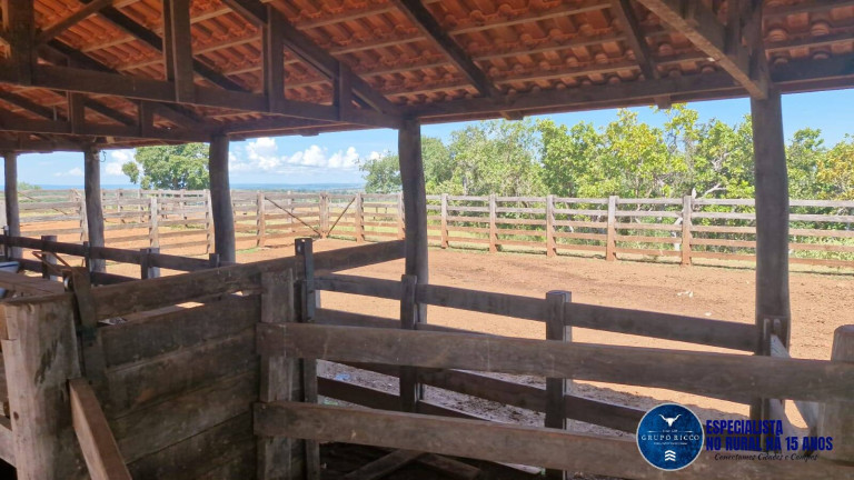 Imagem Fazenda à Venda, 400 m² em Zona Rural - Ribeirãozinho Imagem Fazenda à Venda, 400 m² em Zona Rural - Ribeirãozinho