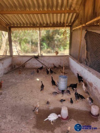 Imagem Chácara à Venda, 5 m² em Zona Rural - Cristianópolis Imagem Chácara à Venda, 5 m² em Zona Rural - Cristianópolis