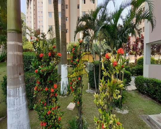 Imagem Apartamento com 3 Quartos à Venda, 65 m² em Jardim Jaqueline - São Paulo