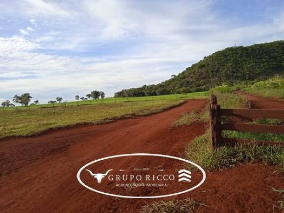 Imagem Fazenda à Venda, em Zona Rural - Montes Claros De Goiás Imagem Fazenda à Venda, em Zona Rural - Montes Claros De Goiás