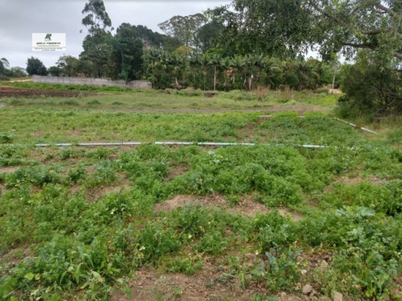 Imagem Terreno à Venda, 2.500 m² em Caetê - São Roque Imagem Terreno à Venda, 2.500 m² em Caetê - São Roque