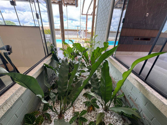 Imagem Chácara com 3 Quartos à Venda, 1 m² em Pedras - Itatiaiuçu Imagem Chácara com 3 Quartos à Venda, 1 m² em Pedras - Itatiaiuçu