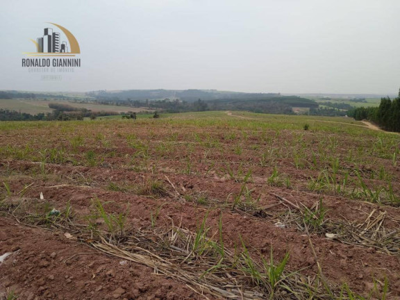 Imagem Fazenda à Venda, 968.000 m² em Zona Rural - Mombuca