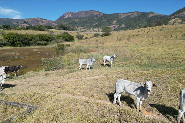 Imagem Fazenda à Venda, 3.650.000 m² em Zona Rual - Andradas Imagem Fazenda à Venda, 3.650.000 m² em Zona Rual - Andradas