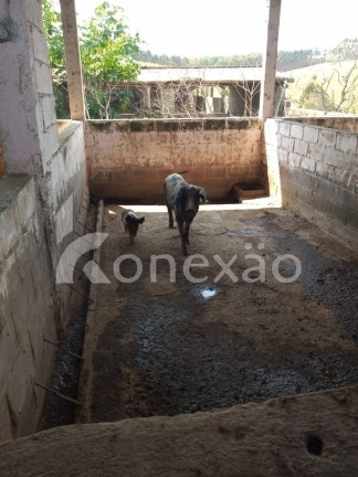 Imagem Chácara com 6 Quartos à Venda, 200 m² em Santa Joana - Santa Branca Imagem Chácara com 6 Quartos à Venda, 200 m² em Santa Joana - Santa Branca
