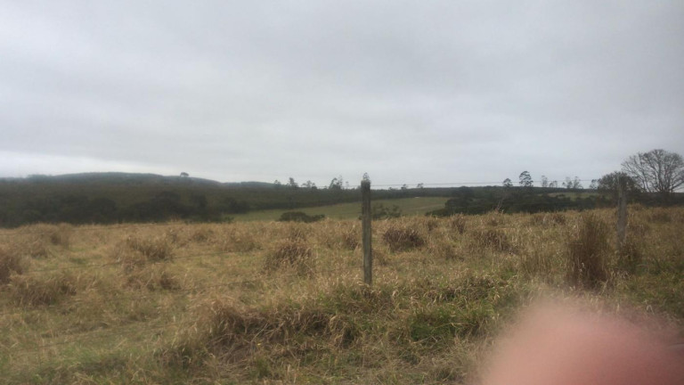 Imagem Fazenda à Venda, 59 m² em Rural - São Miguel Arcanjo