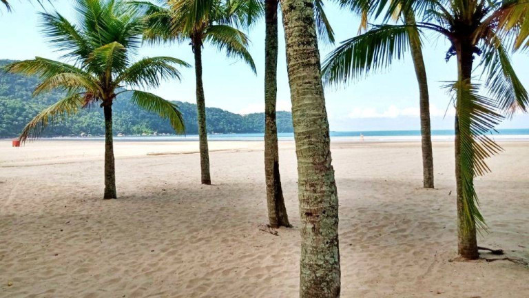 Imagem Kitnet com 1 Quarto à Venda, 28 m² em Ocian - Praia Grande Imagem Kitnet com 1 Quarto à Venda, 28 m² em Ocian - Praia Grande