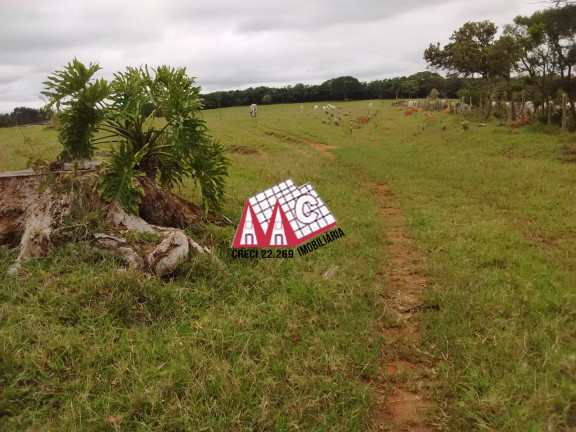 Imagem Imóvel com 3 Quartos à Venda, 484.000 m² em Sarapui - Sarapui Imagem Imóvel com 3 Quartos à Venda, 484.000 m² em Sarapui - Sarapui