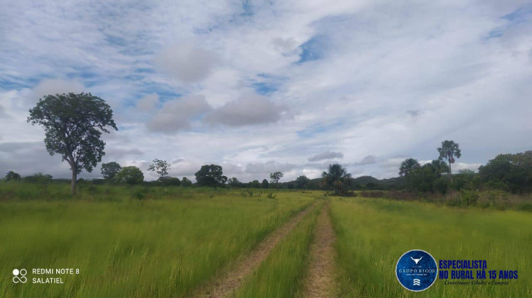 Imagem Fazenda à Venda, 814 m² em Zona Rural - Nova Xavantina Imagem Fazenda à Venda, 814 m² em Zona Rural - Nova Xavantina