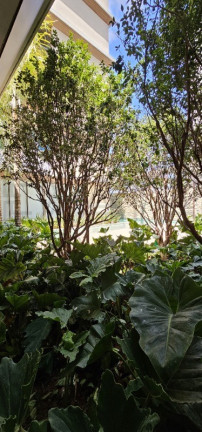 Imagem Imóvel com 3 Quartos à Venda, 239 m² em Jardim América - São Paulo Imagem Imóvel com 3 Quartos à Venda, 239 m² em Jardim América - São Paulo