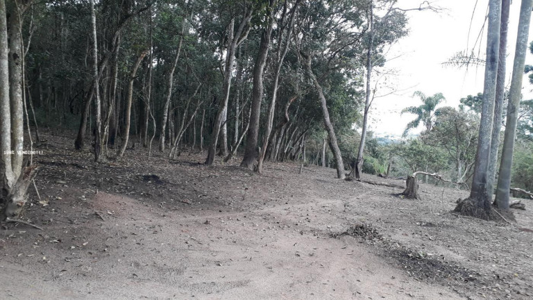 Imagem Imóvel à Venda, 500 m² em Vila Caputera - Mogi Das Cruzes