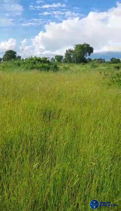 Imagem Fazenda à Venda, 773 m² em Zona Rural - Araguaiana Imagem Fazenda à Venda, 773 m² em Zona Rural - Araguaiana