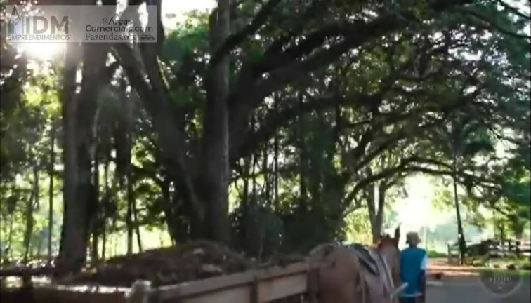 Imagem Chácara à Venda, 796.100 m² em Centro - Bananal Imagem Chácara à Venda, 796.100 m² em Centro - Bananal