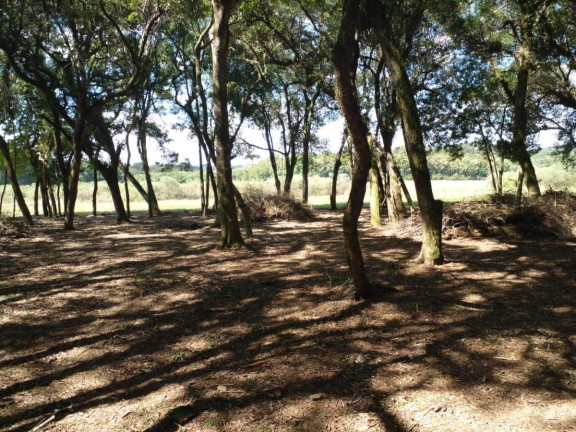 Imagem Terreno à Venda, 20.000 m² em Campo Largo Da Roseira - São José Dos Pinhais Imagem Terreno à Venda, 20.000 m² em Campo Largo Da Roseira - São José Dos Pinhais