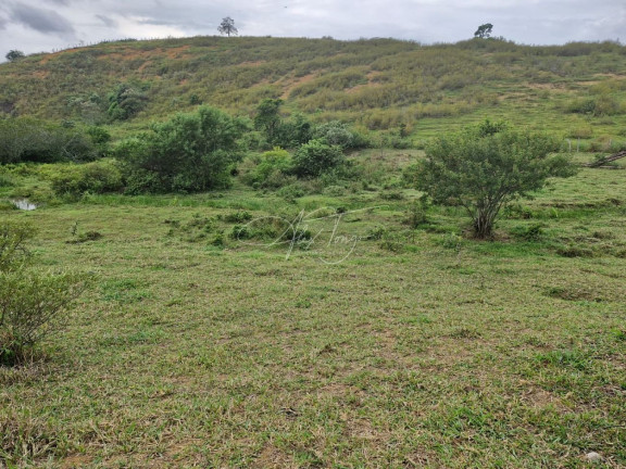 Imagem Terreno à Venda ou Locação, 5.000 m² em Santo Antônio - Serra