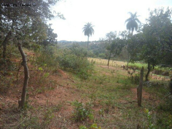 Imagem Terreno à Venda, 4 m² em Duque De Caxias - Mateus Leme Imagem Terreno à Venda, 4 m² em Duque De Caxias - Mateus Leme