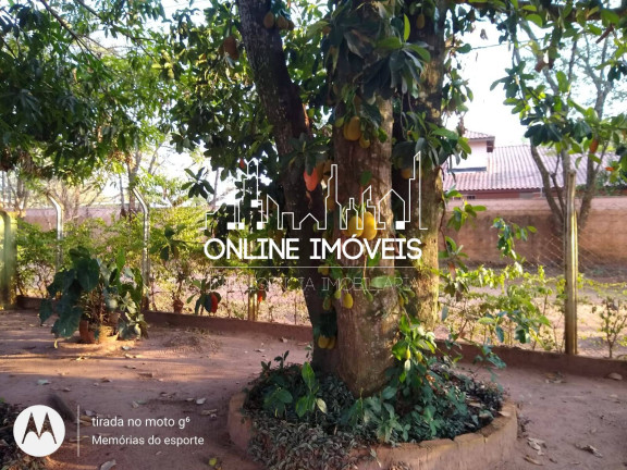Imagem Chácara com 3 Quartos à Venda, em Chácaras Sol Nascente - Mogi Mirim Imagem Chácara com 3 Quartos à Venda, em Chácaras Sol Nascente - Mogi Mirim