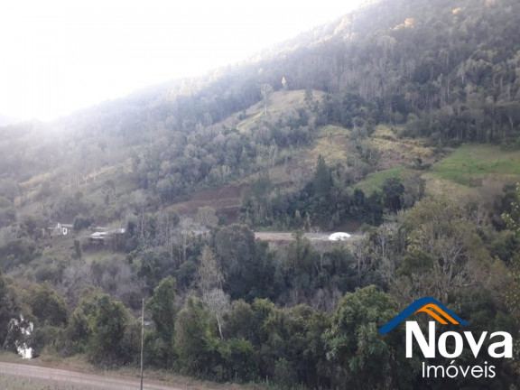 Imagem Imóvel à Venda, 60.000 m² em Linha Riachuelo - Nova Petrópolis Imagem Imóvel à Venda, 60.000 m² em Linha Riachuelo - Nova Petrópolis