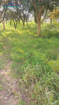Imagem Terreno à Venda, em Viamão Imagem Terreno à Venda, em Viamão