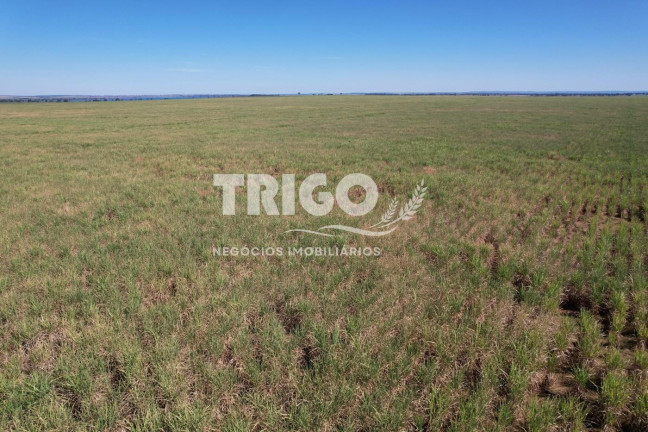 Imagem Fazenda à Venda, 72 m² em Zona Rural - Quirinópolis Imagem Fazenda à Venda, 72 m² em Zona Rural - Quirinópolis