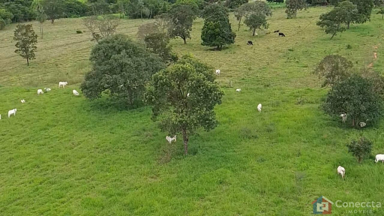 Imagem Imóvel à Venda, 48.400 m² em Centro - Prata Imagem Imóvel à Venda, 48.400 m² em Centro - Prata