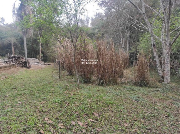 Imagem Imóvel com 5 Quartos à Venda, em Pau Arcado - Campo Limpo Paulista Imagem Imóvel com 5 Quartos à Venda, em Pau Arcado - Campo Limpo Paulista