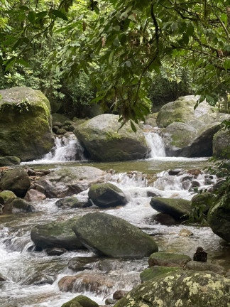 Imagem Imóvel com 5 Quartos à Venda, 20.000 m² em Maresias - São Sebastião Imagem Imóvel com 5 Quartos à Venda, 20.000 m² em Maresias - São Sebastião