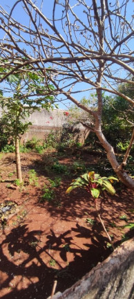 Imagem Casa com 3 Quartos à Venda, 300 m² em Jardim América - Rio Claro Imagem Casa com 3 Quartos à Venda, 300 m² em Jardim América - Rio Claro